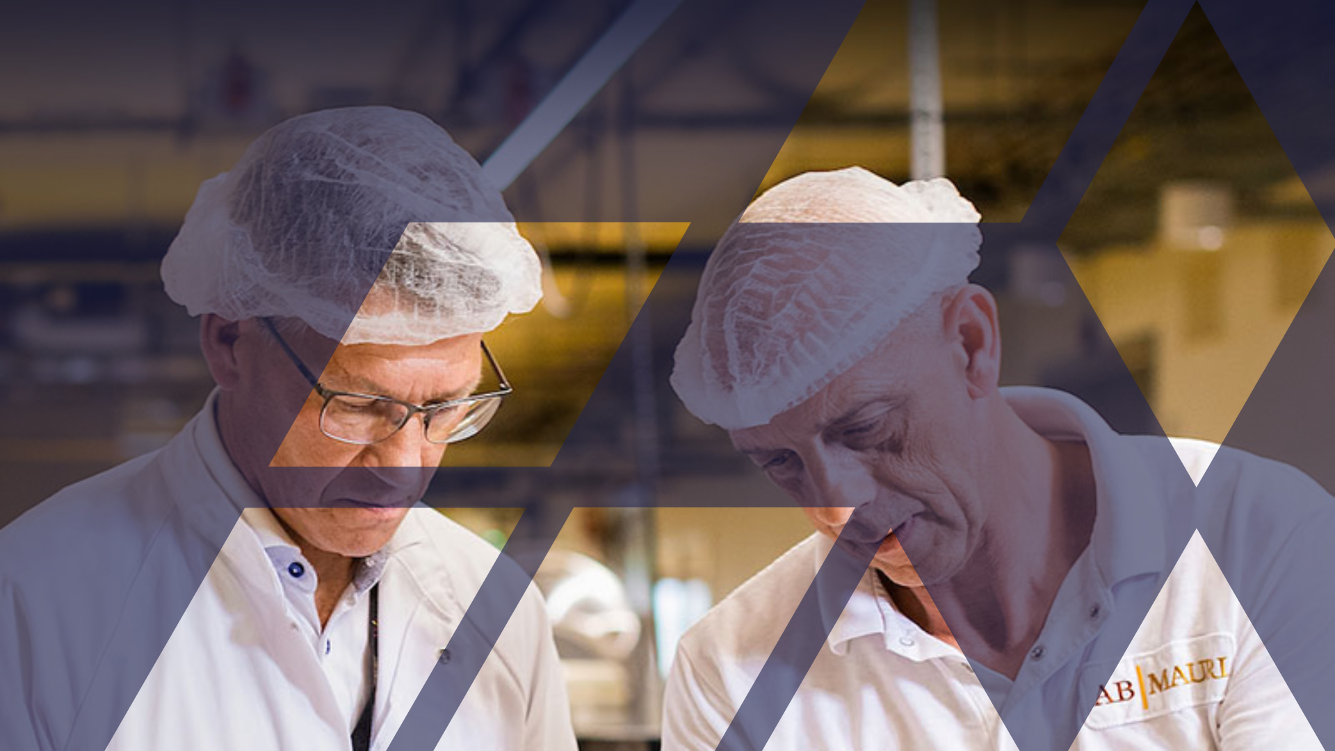 Workers in an ABF facility