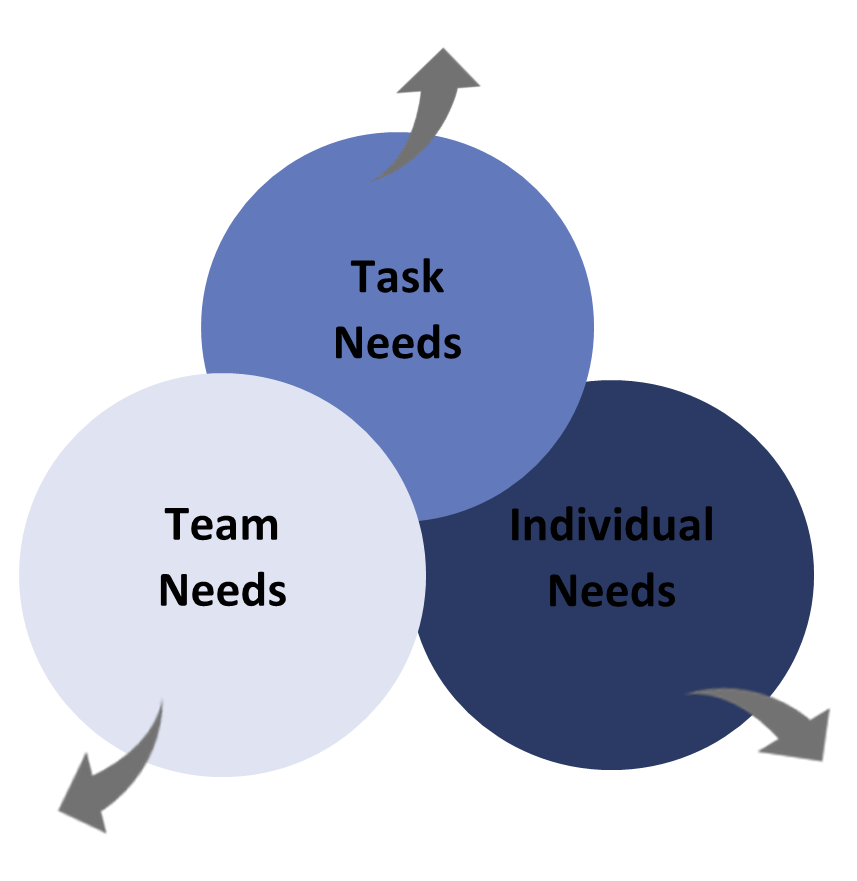 leadership task team individual